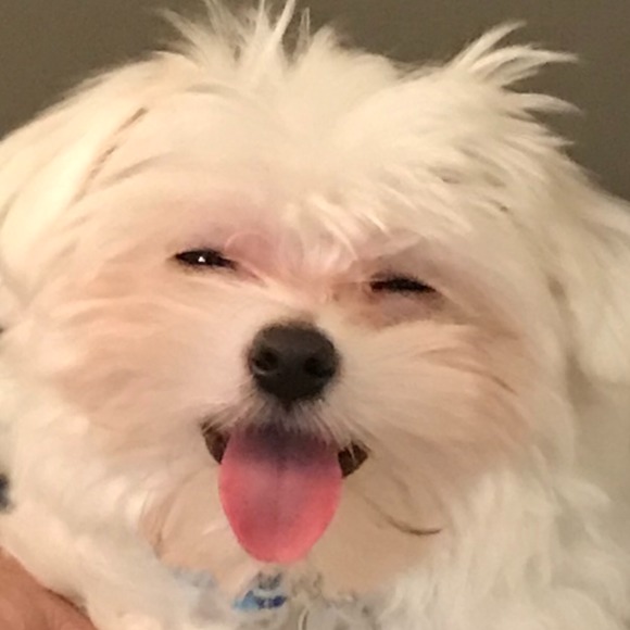 Meet your Posher, Ryan - Picture 1 of 1